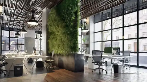 Beyond Decor: Creating Purpose-Driven Offices
